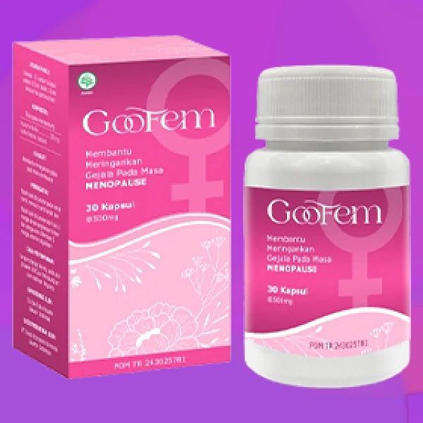GOOFEM